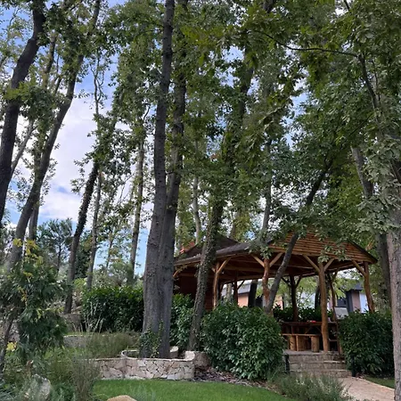 Forest Club Premium