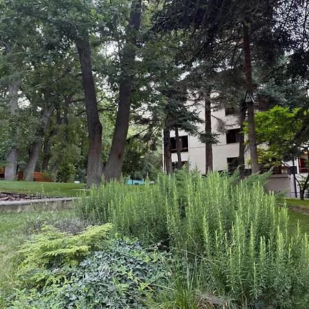 Forest Club Premium Апартамент